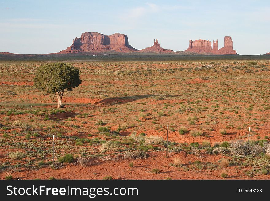 Desert shrubs with famous rock formations of Monument Valley in the background. Arizona/Utah State line. USA