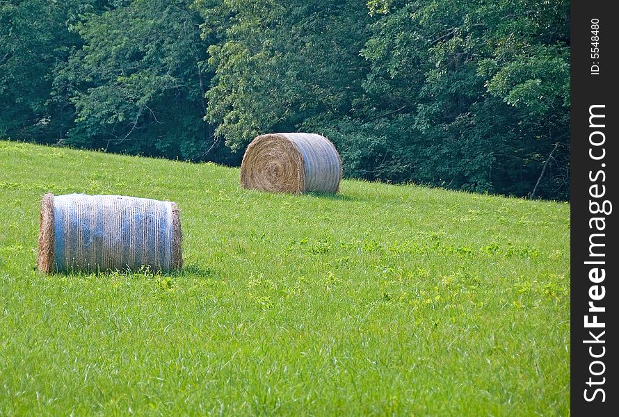 Two bales of hay in a grassy meadow
