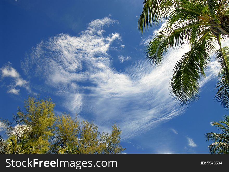 Picture taken at Pangkor Island showing blue sky with white cloud formation and green trees. Picture taken at Pangkor Island showing blue sky with white cloud formation and green trees.