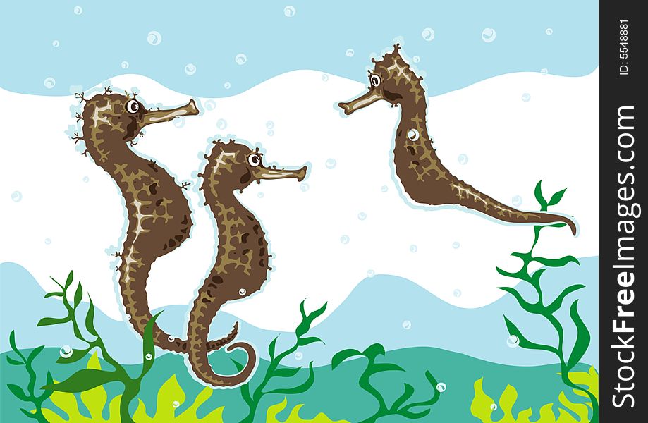 Coloured drawing of three seahorses at sea landscape. Coloured drawing of three seahorses at sea landscape