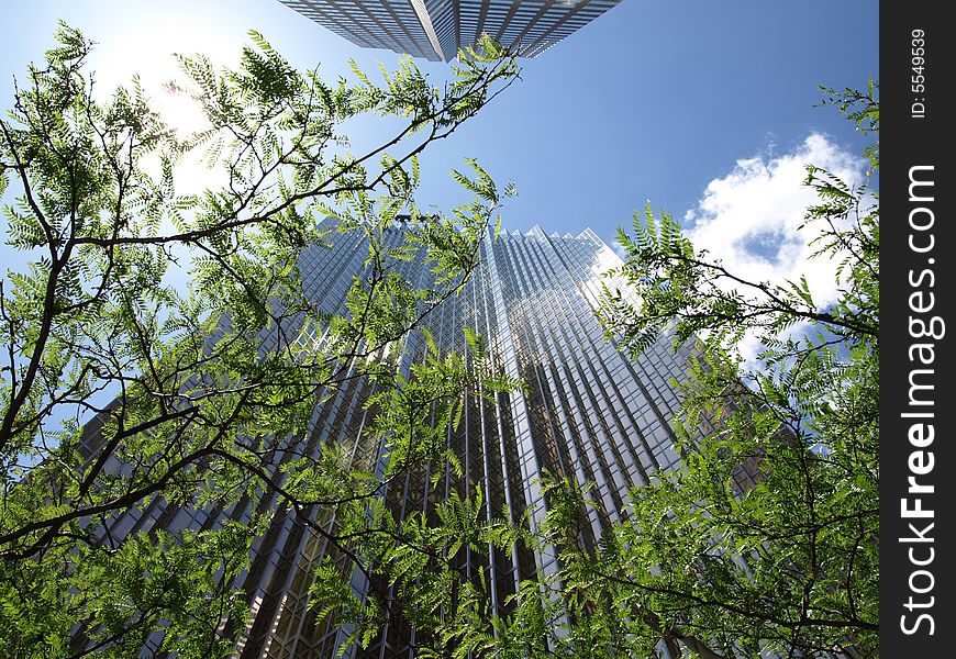 Two gleaming tall corporate skyscrapers surround a few trees in a shot from the ground up. Two gleaming tall corporate skyscrapers surround a few trees in a shot from the ground up.