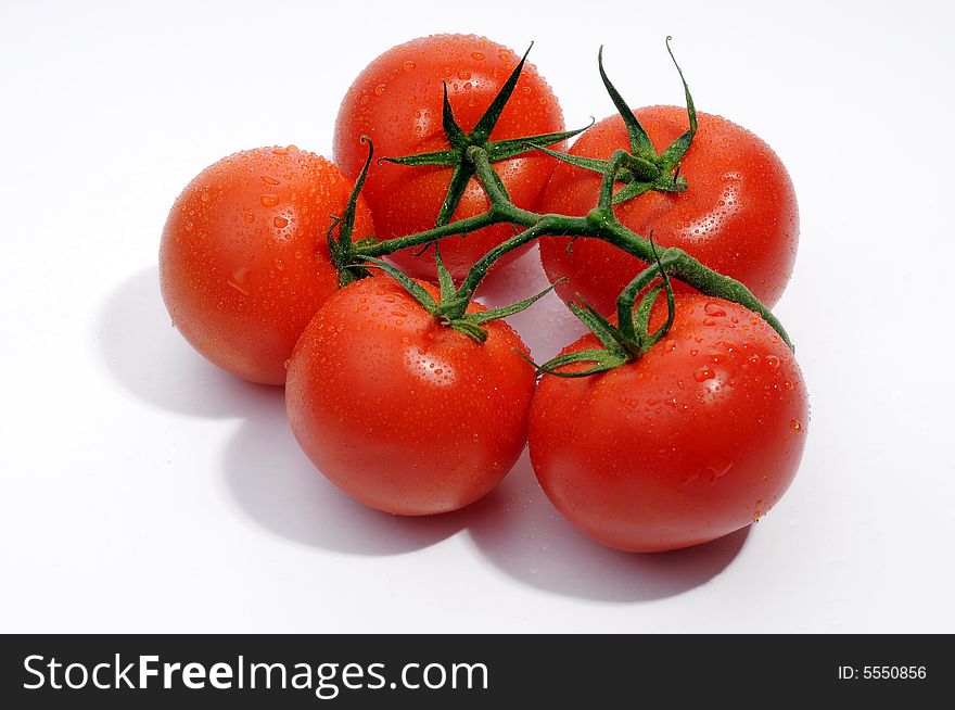 Red wet and fresh tomatoes over white