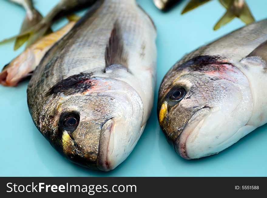 Fresh salt-water fish on a table. Fresh salt-water fish on a table