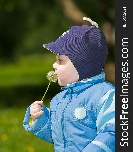 Boy with a dandelion in hands on a background of the nature. Boy with a dandelion in hands on a background of the nature