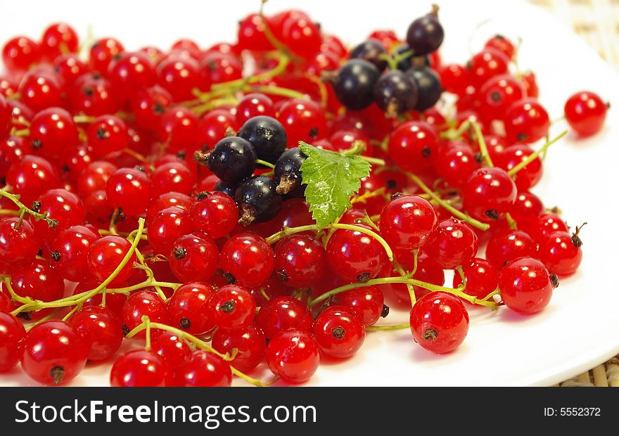 Red and black currant on a white plate