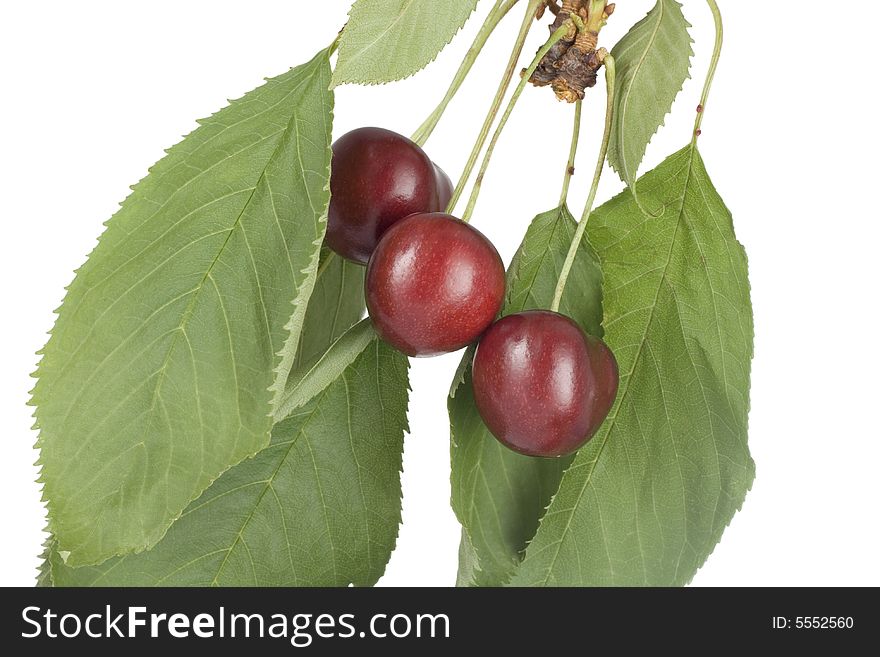Fresh  cherries isolated on white background