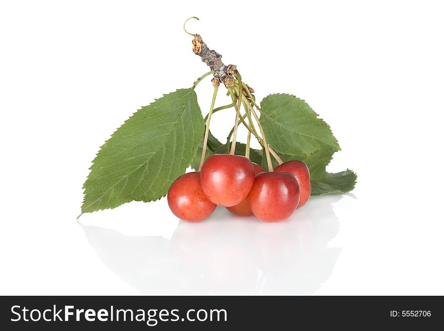 Fresh cherries isolated on white background. Fresh cherries isolated on white background