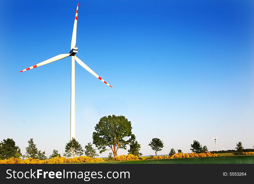 Wind turbines. Energy. Beautiful meadow