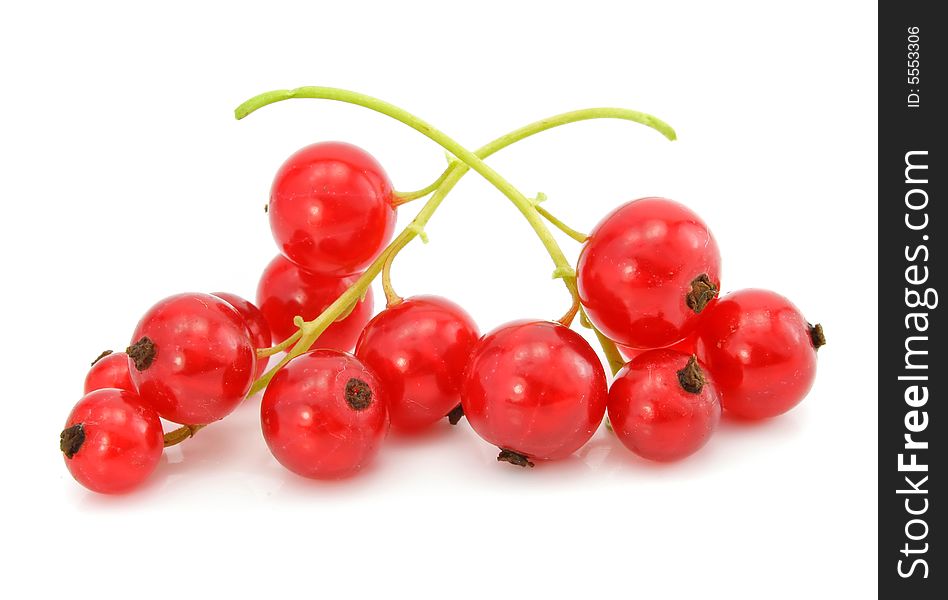 Branch of red currant fruits isolated on white background