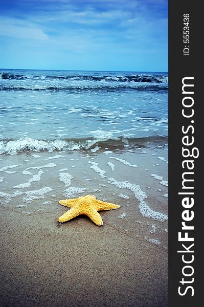 Starfish on the tropical beach