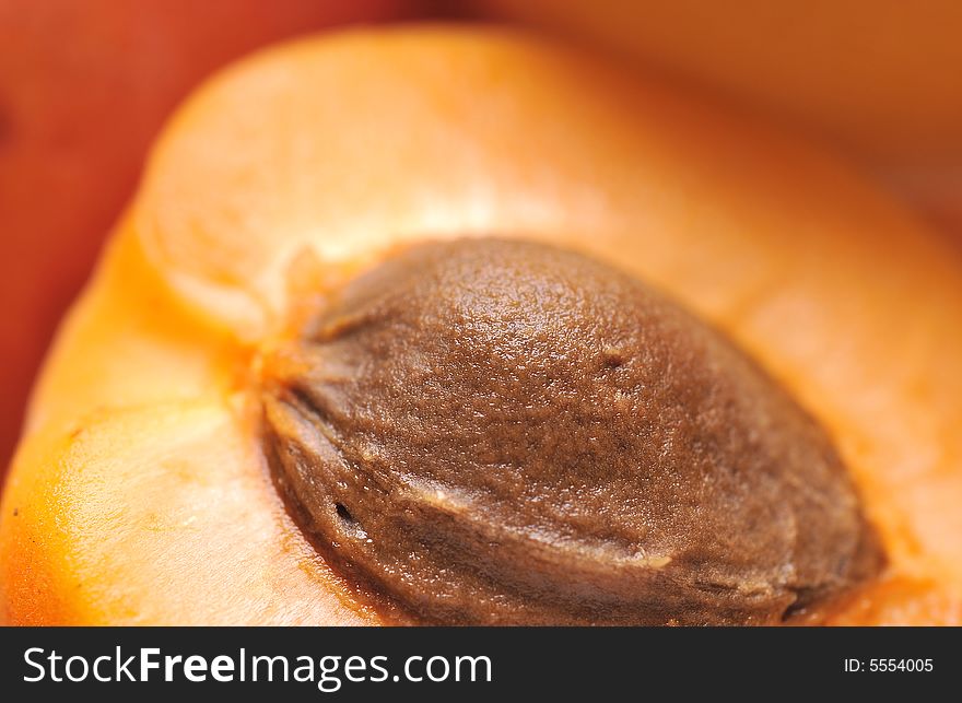 Closeup of fresh young colored apricot