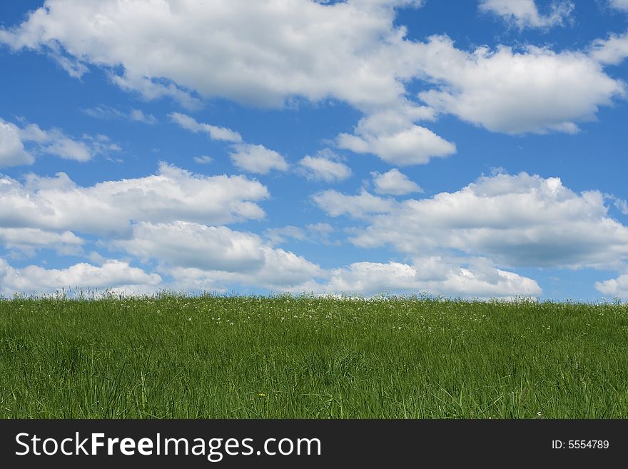 Green Field And The Blue Sky