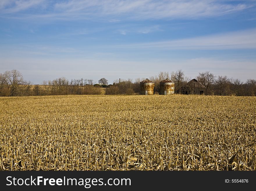 Old silos and barn in cornfield. Old silos and barn in cornfield