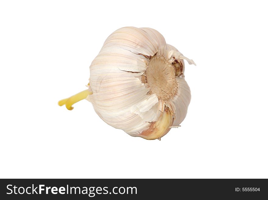 Isolated garlic on white background without shadows