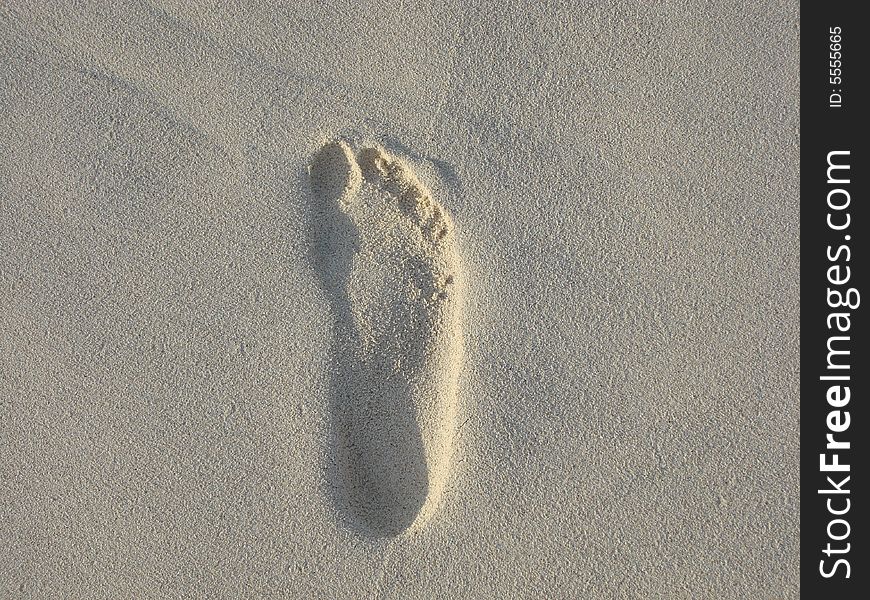 Footprint quite well marked over the sand at Cancun. Footprint quite well marked over the sand at Cancun