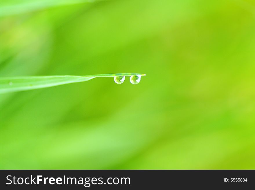 Grass with two raindrops and green background