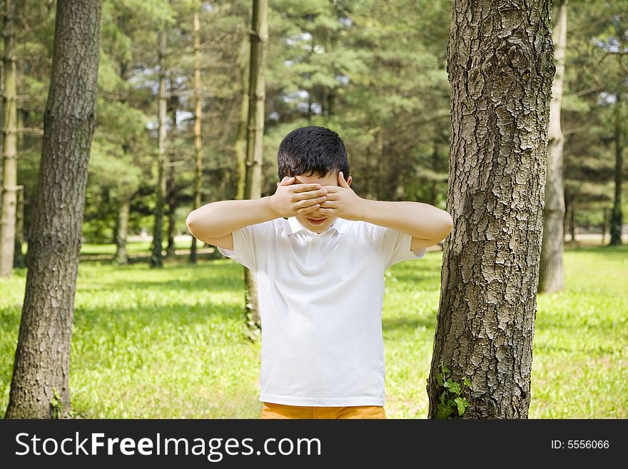 Young boy playing hide and seek, leaning between trees in park. Young boy playing hide and seek, leaning between trees in park.
