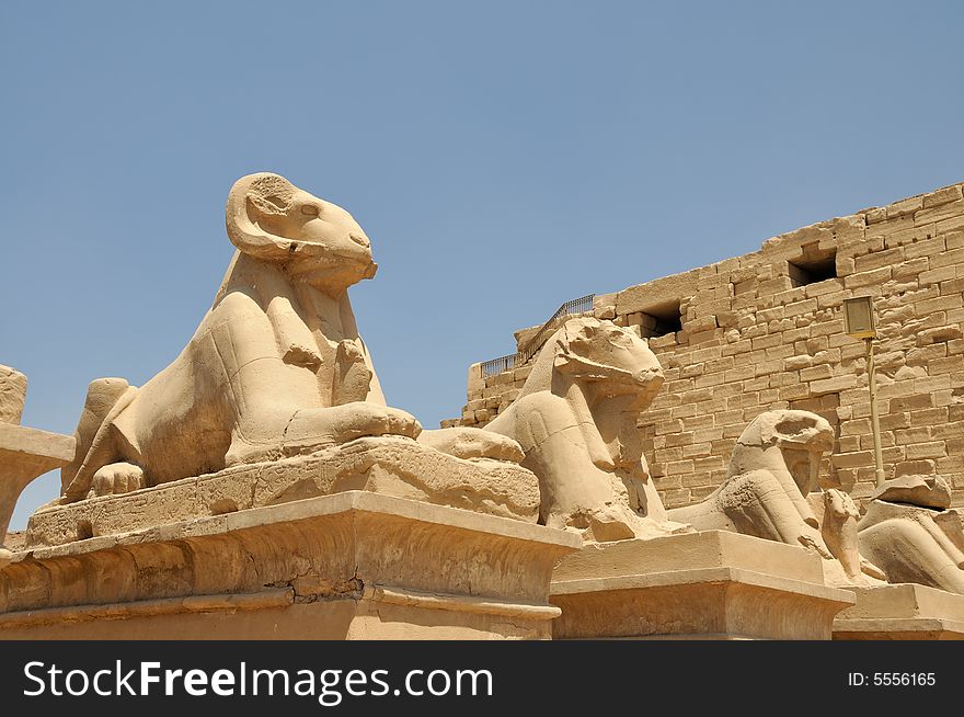 Avenue of Ram-headed Sphinxes