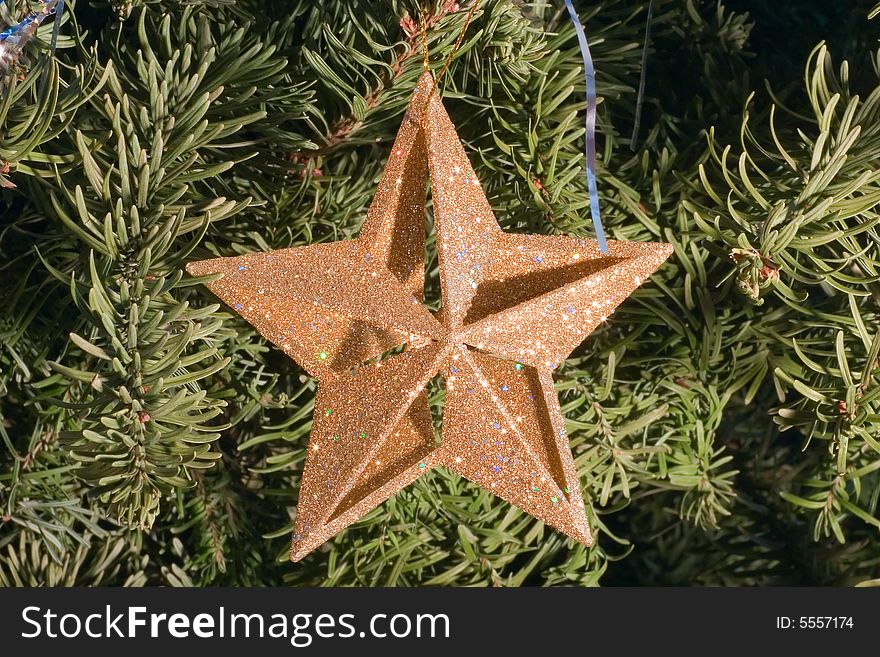 Christma star