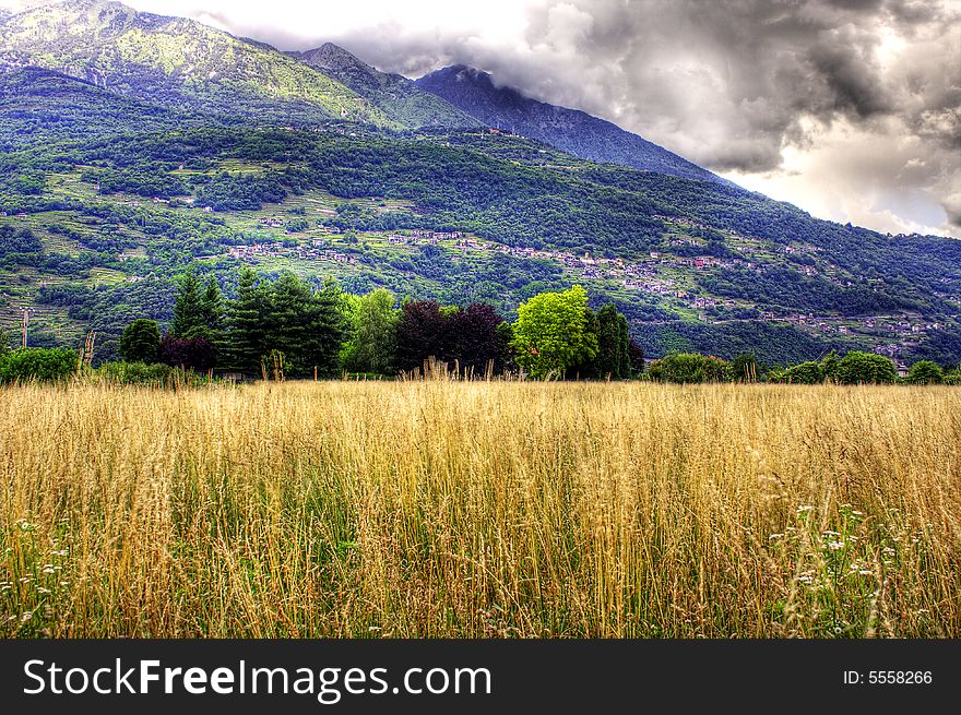 Campaign with trees and lawns mountains. Campaign with trees and lawns mountains