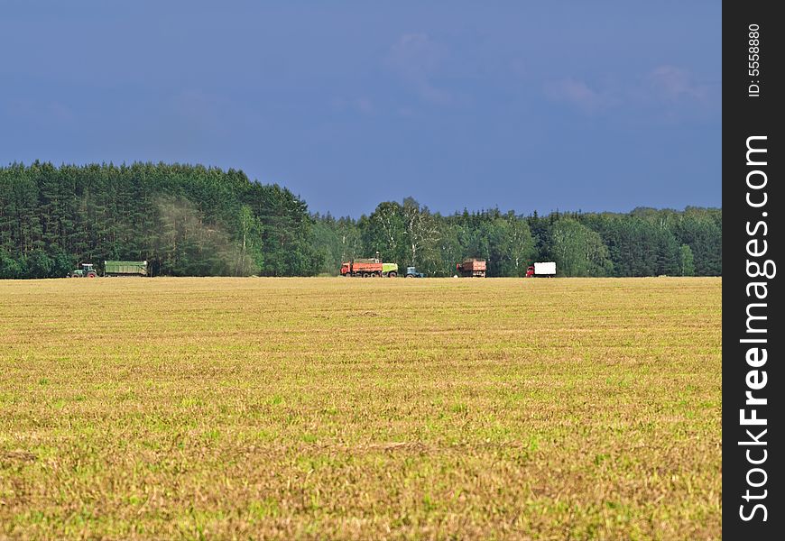 Landscape with an agricultural field and trucks. Landscape with an agricultural field and trucks