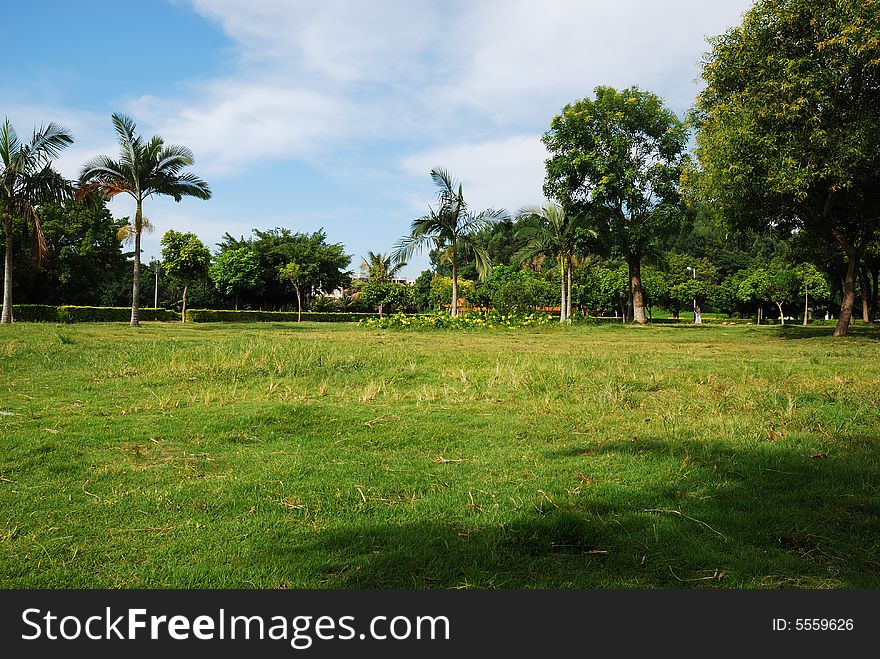 Scenery of city park