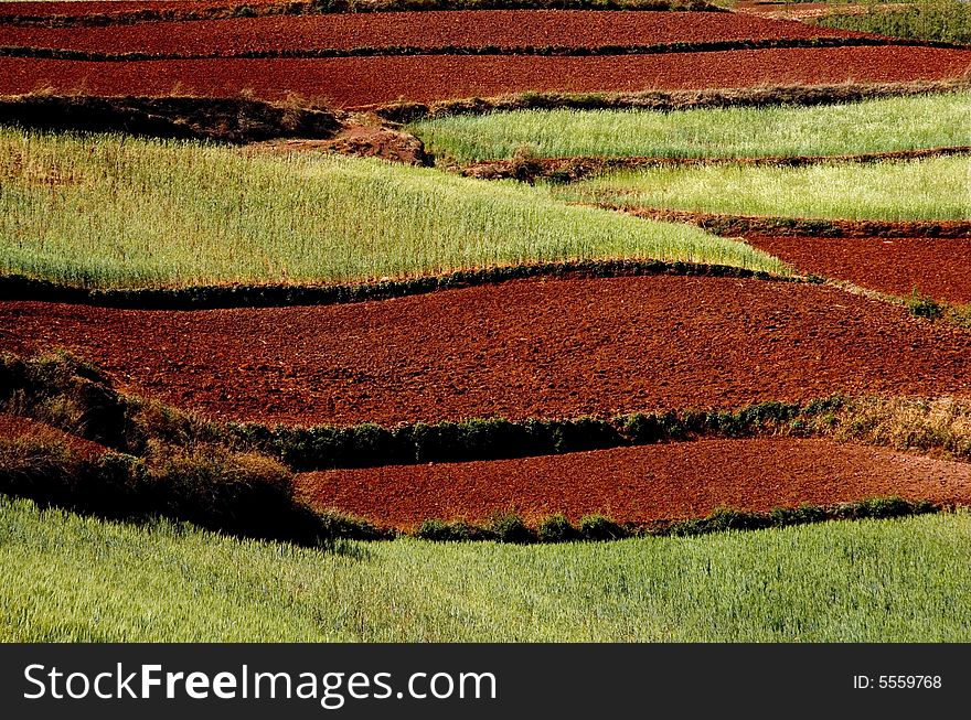 Red Land in Yunnan Province, southwest of China. Red Land in Yunnan Province, southwest of China.