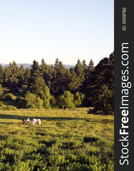 Two people in a field of grass and trees conversing while holding onto their horses. - vertically framed. Two people in a field of grass and trees conversing while holding onto their horses. - vertically framed