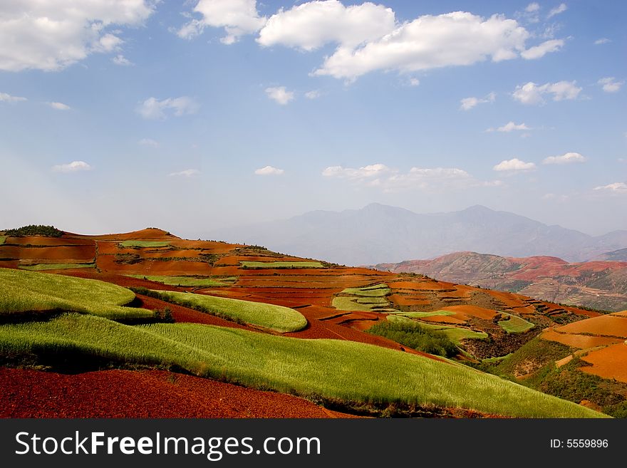Red Land in Yunnan Province, southwest of China.