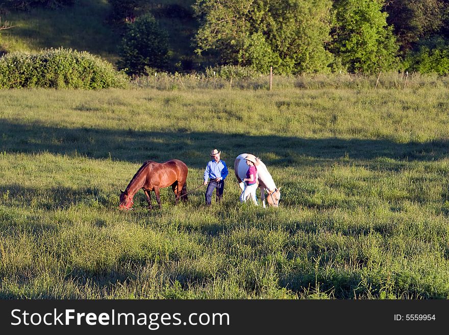Two farmers converse while their horses are eating in a grass field. - horizontally framed. Two farmers converse while their horses are eating in a grass field. - horizontally framed