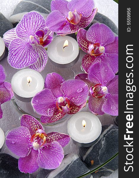 Orchid flower and spa item