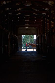 Horse And Trainer At Horse Stall- Vertical Stock Images