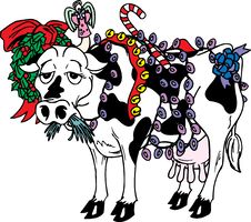 Holiday Cow Stock Image Holiday Cow Stock Image