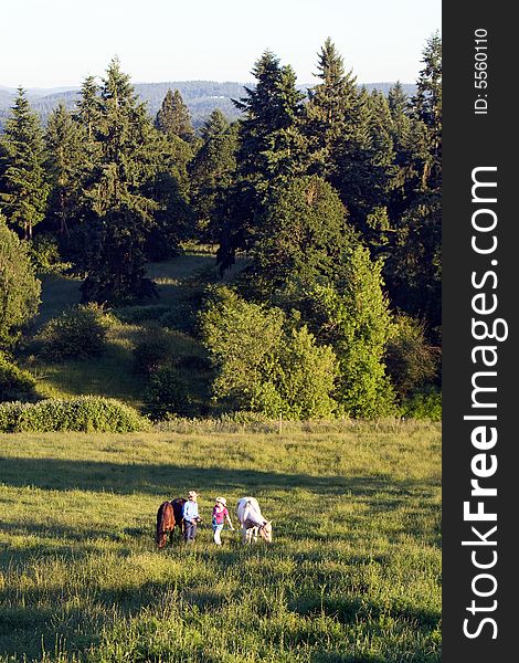 Two farmers talking while in a green field of grass while their horses eat. - vertically framed. Two farmers talking while in a green field of grass while their horses eat. - vertically framed