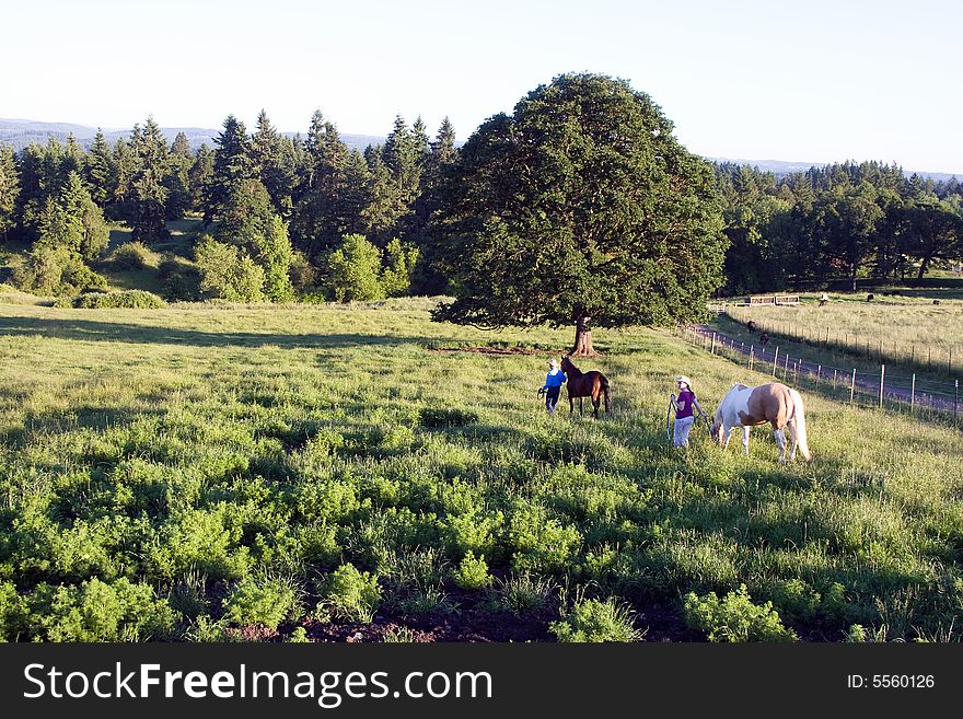 Two woman walk through a field of grass with their horses. - horizontally framed. Two woman walk through a field of grass with their horses. - horizontally framed