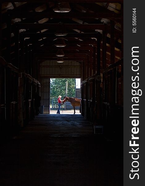 A trainer showing affection towards a brown horse at the end of the horse stalls. - vertically framed. A trainer showing affection towards a brown horse at the end of the horse stalls. - vertically framed