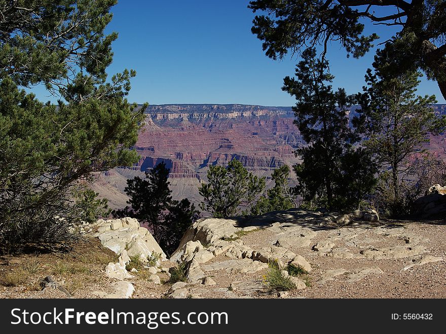 Grand Canyon framed with foliage