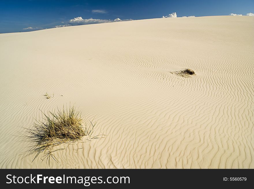 The landscape on desert Leba
