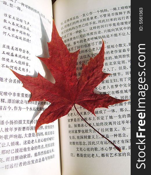 Maple Leaf on a book