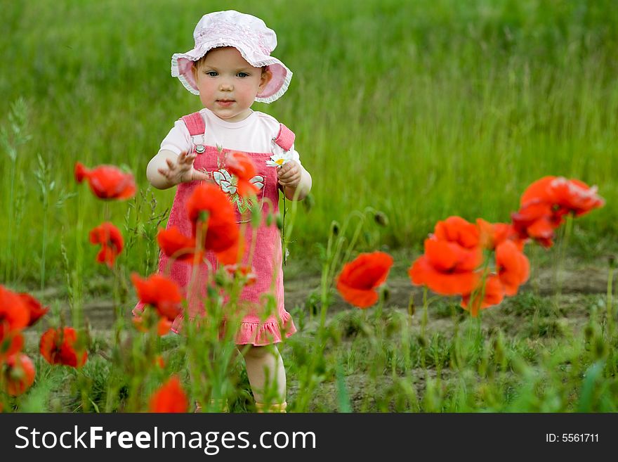 An image of baby-girl amongst field with poppies. An image of baby-girl amongst field with poppies