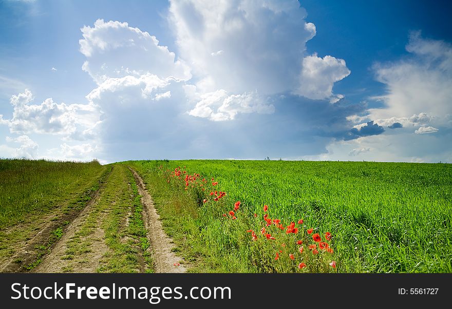 A road amongst field with red poppies. A road amongst field with red poppies