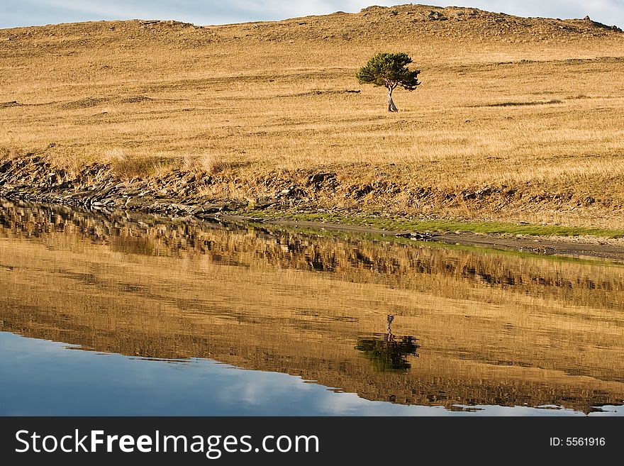 Pine, water, reflection lake landscape mountain