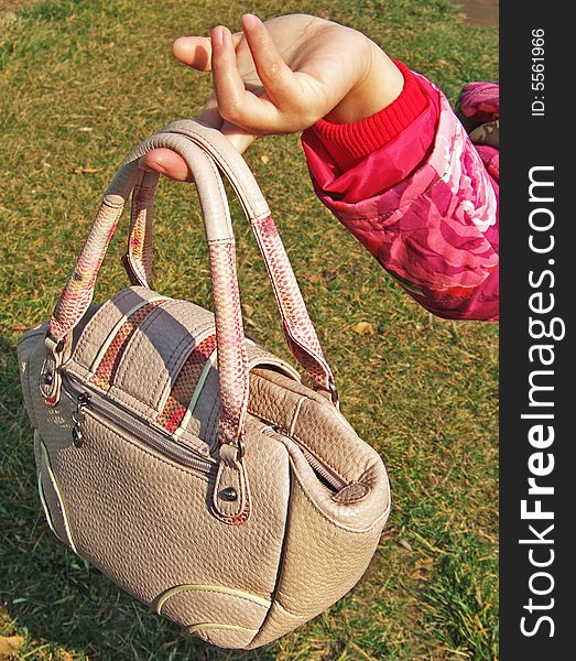 Purse and hand with a meadow as background