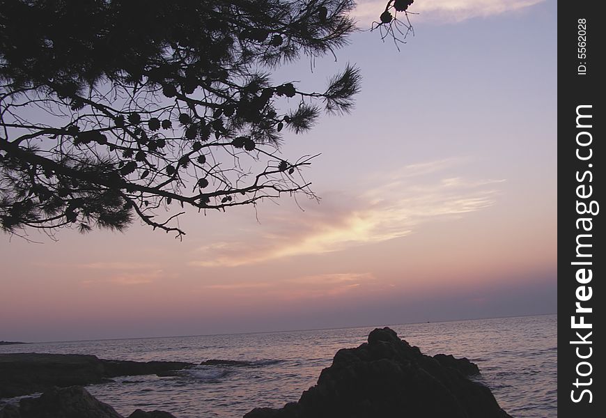 Mediterranean beach at dusk, rocky beach with Mediterranean pine trees and evening sky right after sunset

*RAW format available