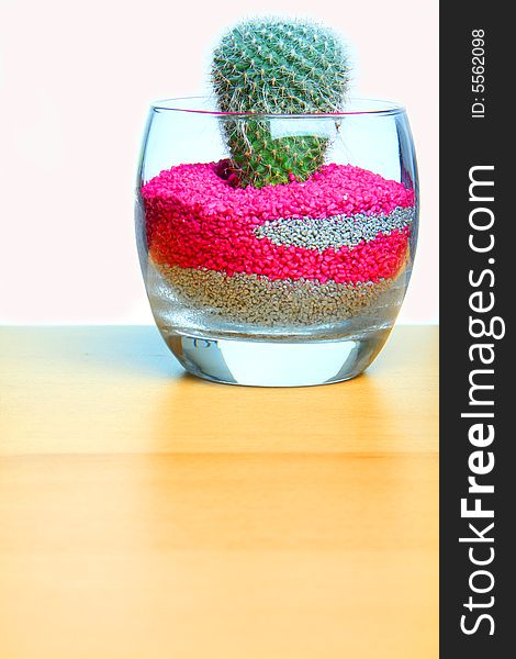 A photograph of a cactus in colorful sand in a glass. A photograph of a cactus in colorful sand in a glass.