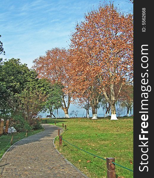 Road and trees nearby the Xizi Lake, hangzhou city, china