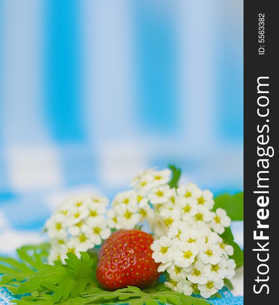 Strawberry And Flower On Fabric Background