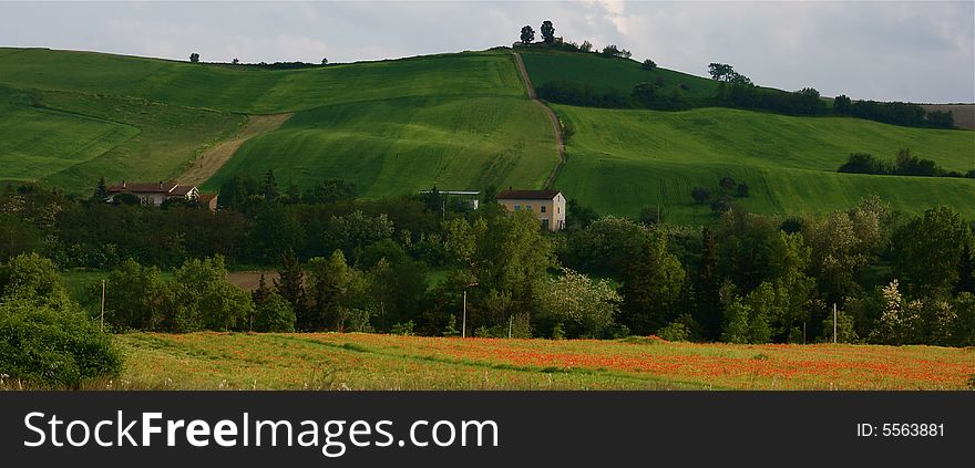 Green hills of the marche region in Italy. Green hills of the marche region in Italy