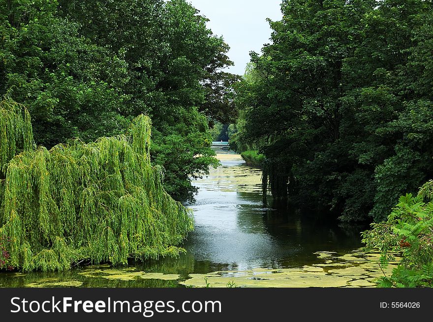 A river finds its way among lots of green trees. A river finds its way among lots of green trees