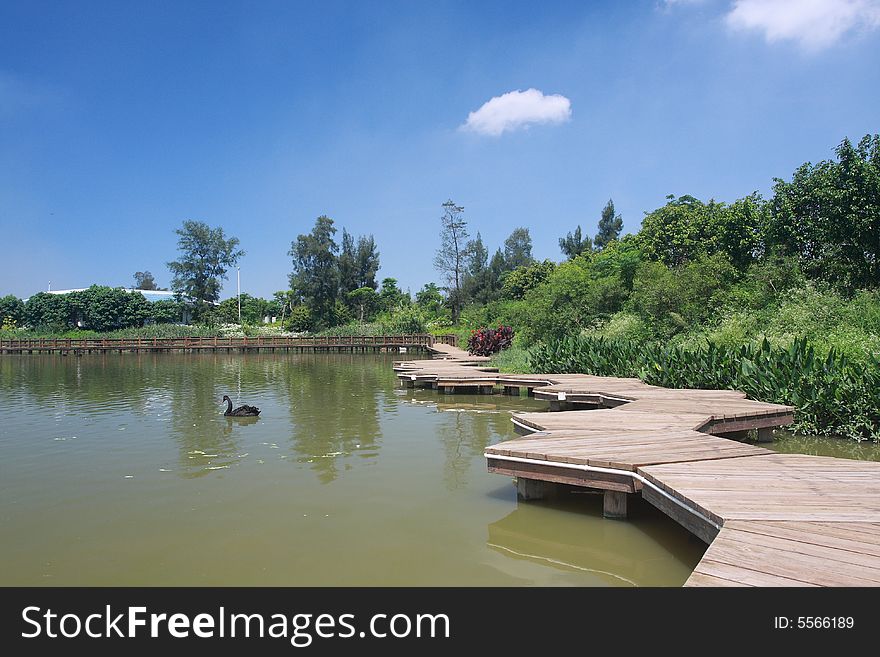 Wood path on water